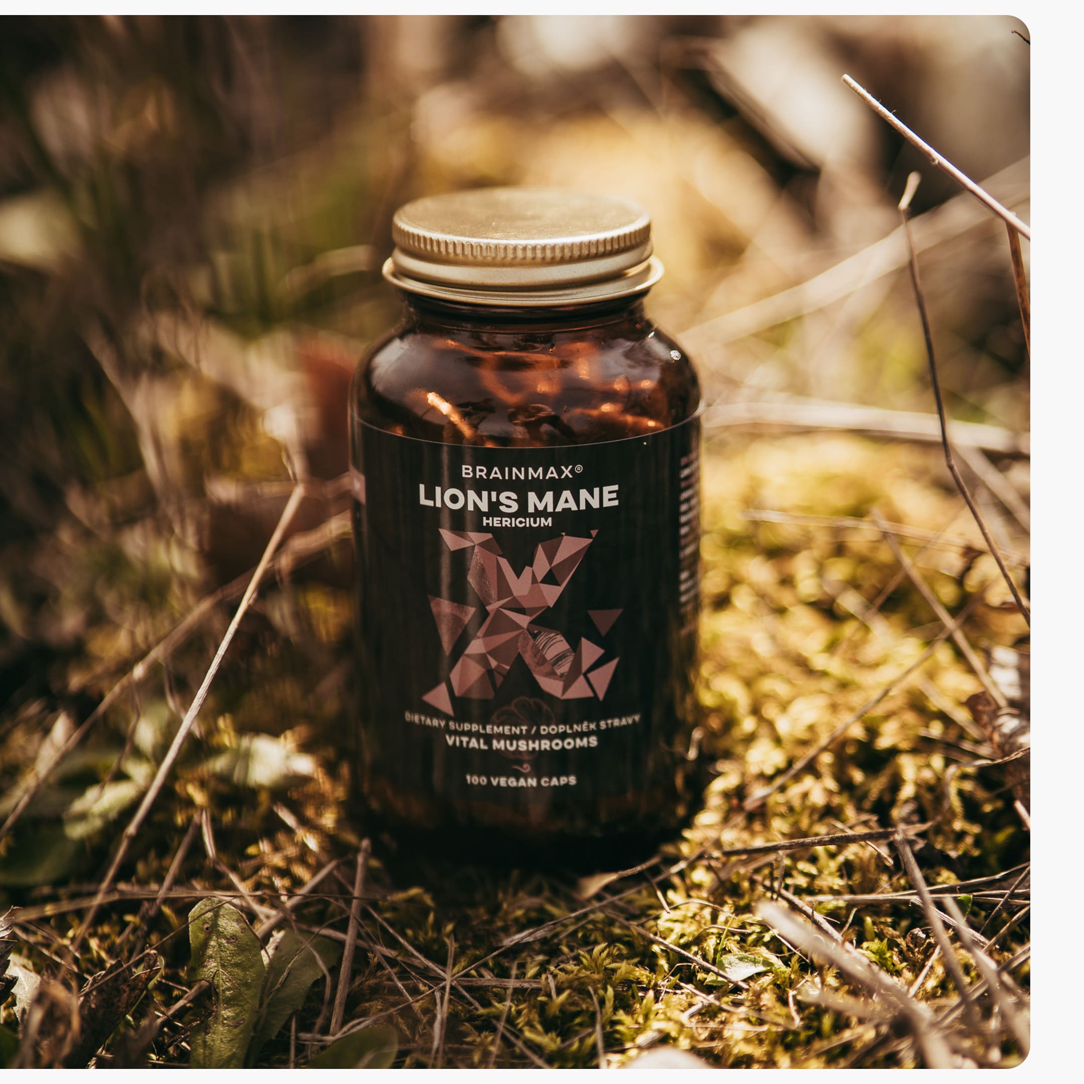 lions mane produkt3-min